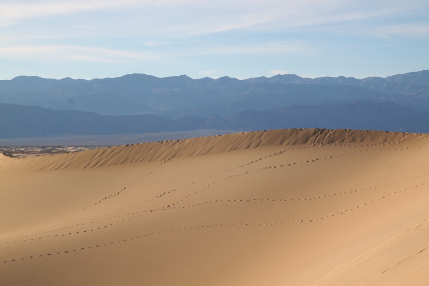Mesquite Dunes